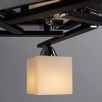 Потолочный светильник Arte Lamp Visuale  A8165PL-5BK                        