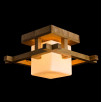 Потолочный светильник Arte Lamp Woods  A8252PL-1BR                        