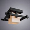 Потолочный светильник Arte Lamp Woods  A8252PL-1CK                        