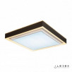 Потолочный светильник iLedex Summery B6233-117W/520*520 WH                        