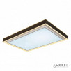 Потолочный светильник iLedex Summery B6233-196W/930*630 WH                        