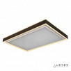 Потолочный светильник iLedex Summery B6233-196W/930*630 WH                        