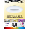 Люстра потолочная Citilux Стратус Смарт CL732A520G                        