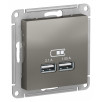 USB Розетка Schneider Electric Atlasdesign Сталь 5В, 1 порт x 2,1 А, 2 порта х 1,05 А, механизм ATN000933