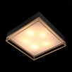 Светильник потолочный ST Luce CHODO SL1127.422.05                        