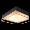 Светильник потолочный ST Luce CHODO SL1127.422.05                        