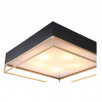 Светильник потолочный ST Luce CHODO SL1127.422.05                        