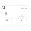 Люстра потолочная Evoluce Formae SLE220912-06                        