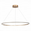 Подвесной светильник ST Luce ST604 OUT ST604.243.46                        