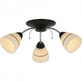 Потолочная люстра Toplight Winnifred TL1255D-03BC